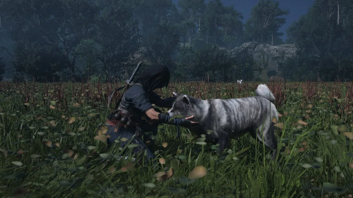 Shinobi Naoe und ein grauer Hund auf einer Wiese.