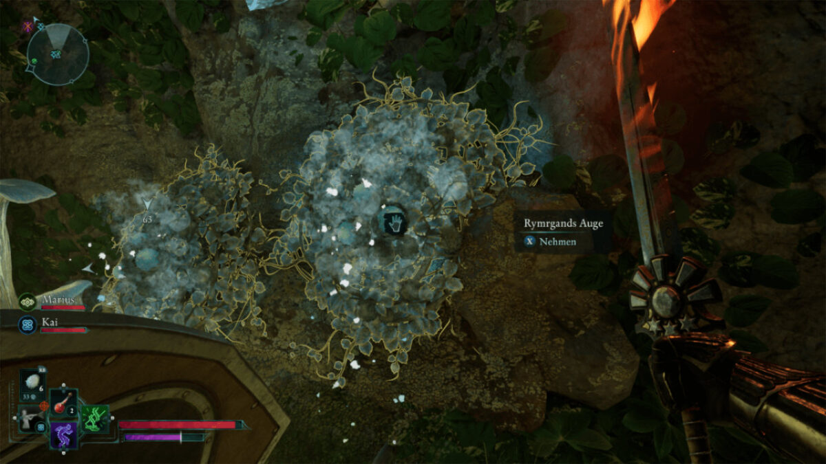 The frost plant “Rymrgand’s Eye” grows along a rock wall in Avowed.