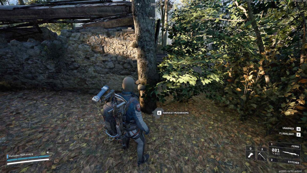 Ein Spieler steht in einem bewaldeten Gebiet vor einem Baum mit Pilzen, die geerntet werden können; Sonnenlicht fällt durch die Blätter und erhellt den Boden – Spielszene aus ARC Raiders.