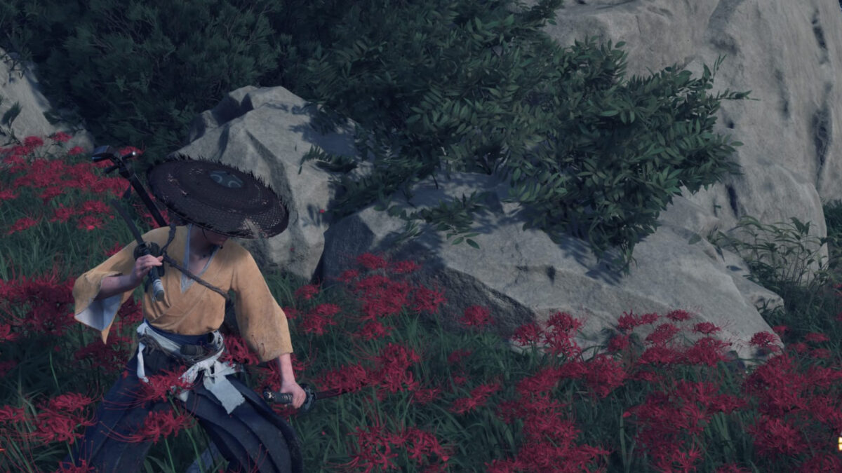 Atsu is holding a Dual Katana between red flowers.