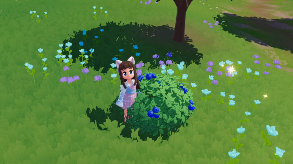 Ein Mädchen steht in einem Blaubeerbusch.