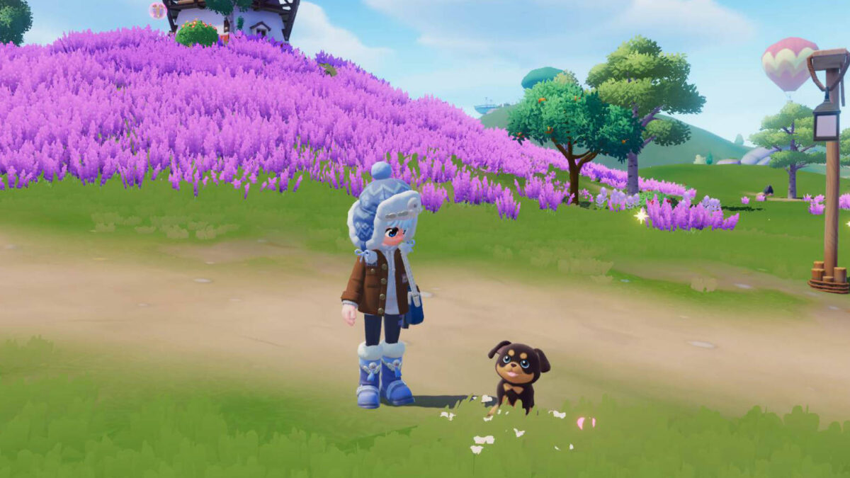 Ein Mädchen steht mit einem braunen Hund vor einem Lavendelfeld.