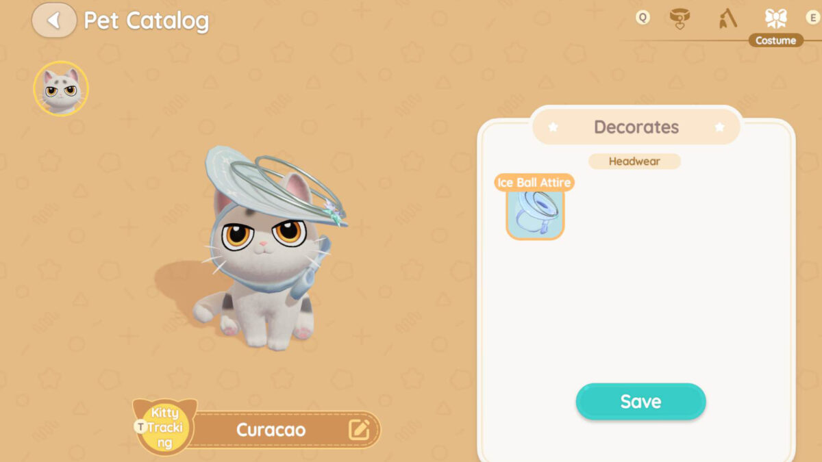 Eine Katze mit einem blauen Hut auf.