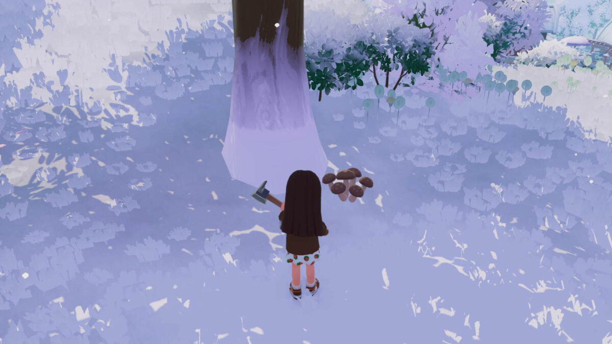 Ein Mädchen steht an einem Baum - am Boden wachsen Pilze.