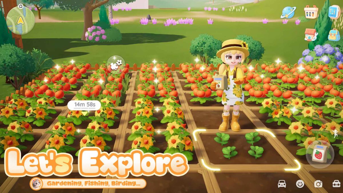 Ein Mädchen steht in einem selbst angebauten Blumenbeet.