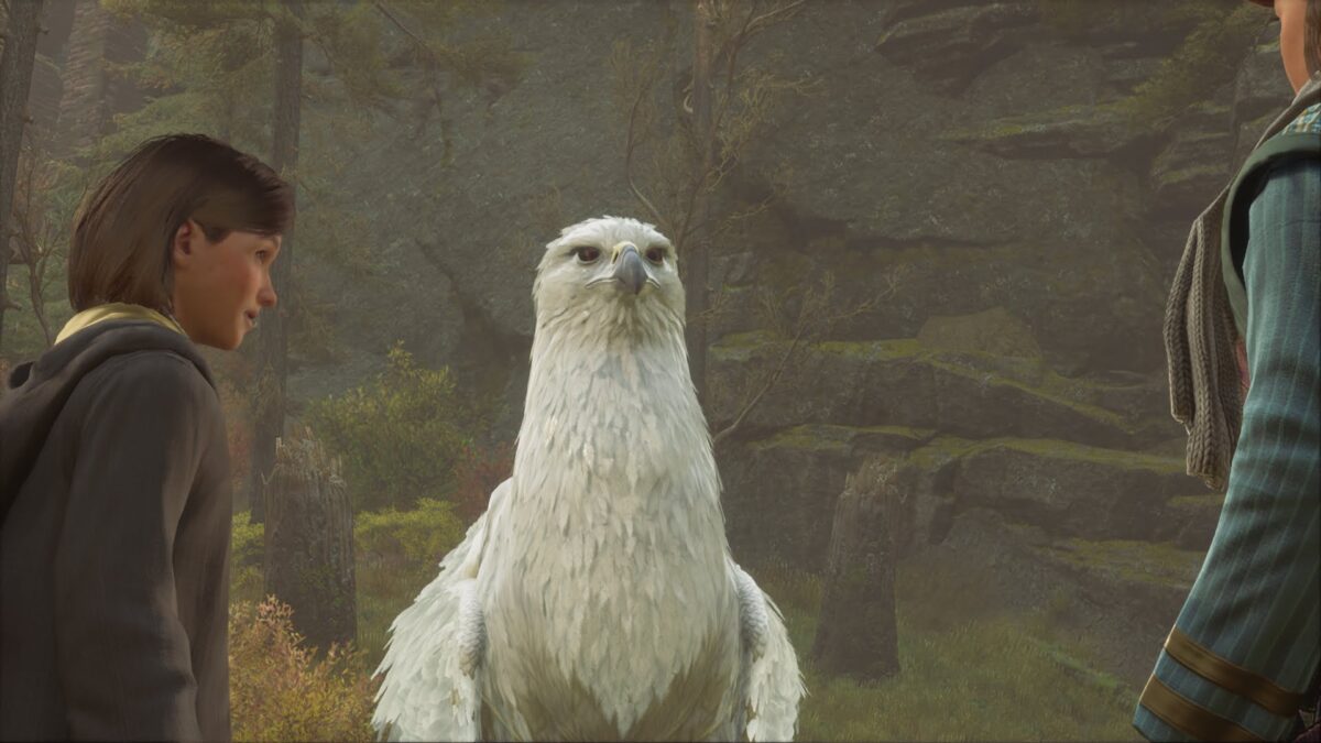 A white Hippogriff stands proudly in a forest clearing while a Hogwarts student looks at it in Hogwarts Legacy.