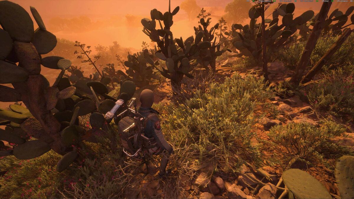 Ein Spieler erkundet eine sonnendurchflutete Wüstenlandschaft voller Kakteen und trockener Vegetation, während die Umgebung in warmes, orangefarbenes Licht getaucht ist – Spielszene aus ARC Raiders.