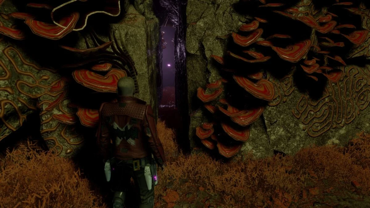 Hinter diesem Felsspalt liegt Groots Outfit "Annihilation: Conquest-Anzug" in Marvel's Guardians of the Galaxy.