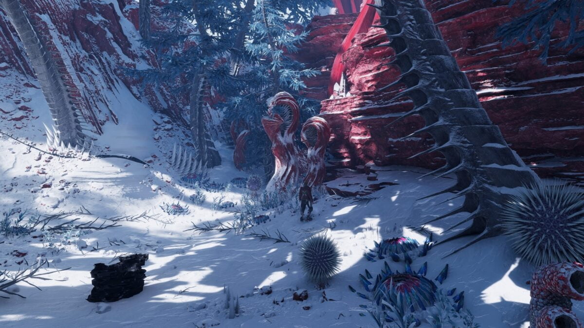 Das Wächter-Sammelobjekt "Tiefwurzelpflanze" findet ihr an dieser Felswand. © Square Enix / S4G