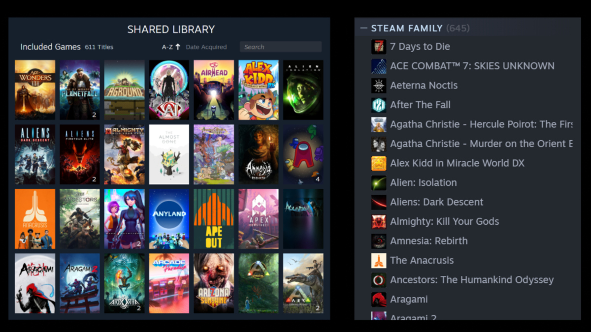 Ein Screenshot einer geteilten Steam-Bibliothek zeigt verschiedene PC-Spiele-Cover und eine Liste mit PC-Spiele-Titeln.