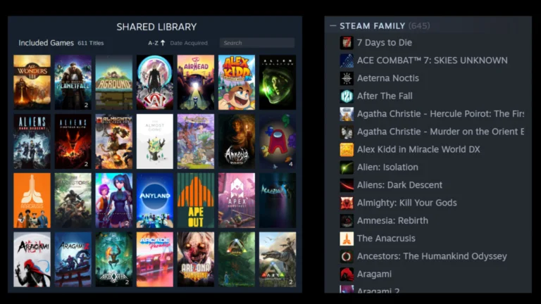 Ein Screenshot einer geteilten Steam-Bibliothek zeigt verschiedene PC-Spiele-Cover und eine Liste mit PC-Spiele-Titeln.