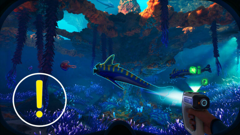 Mehrere Fische in einer Unterwasserwelt, davor ein Taucher mit einem Gerät in der Hand.