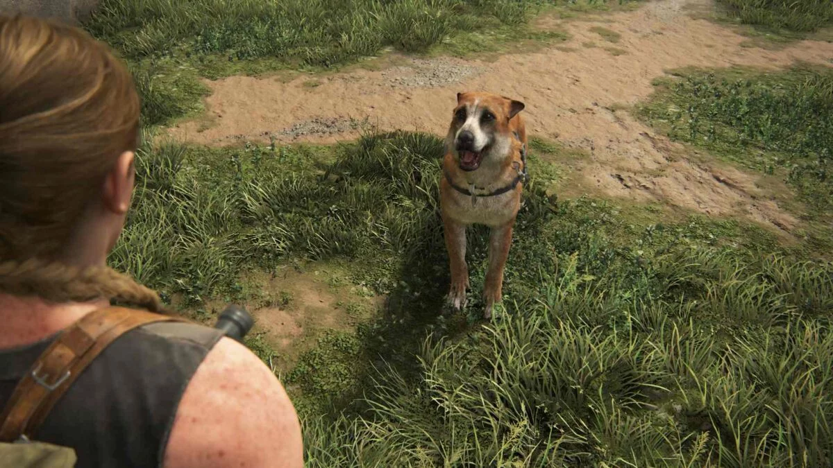 Schäferhund Bear will in The Last of Us 2 mit Abby Ball spielen.
