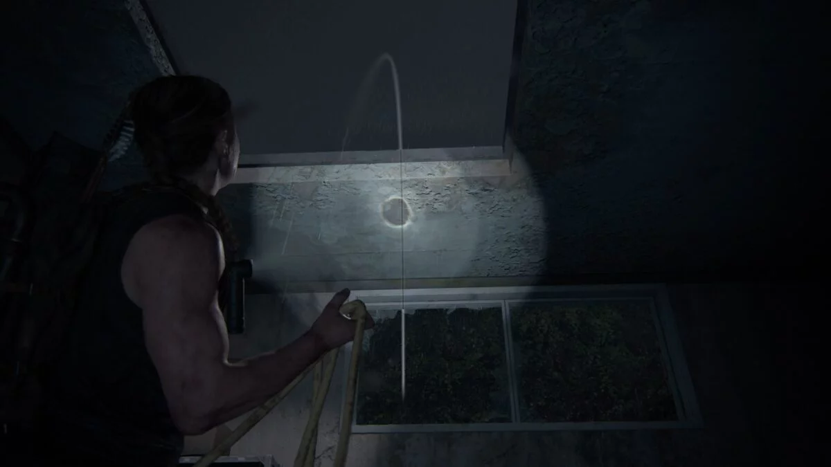 Abby wirft in The Last of Us 2 ein Kabel durch ein Dachfenster, um in das Aquarium zu gelangen.
