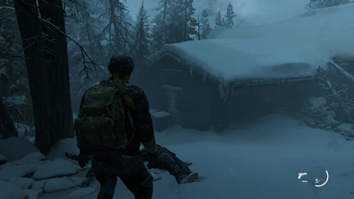 Abby steht oberhalb einer schneebedeckten Hütte in The Last of Us 2