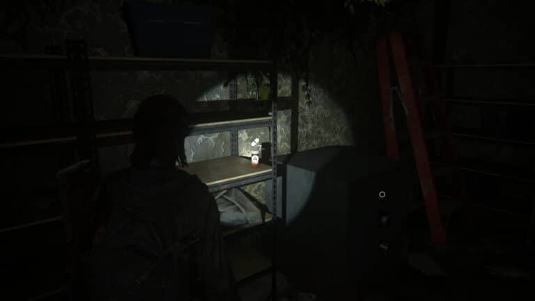 Zusätze im Regal links neben dem Safe im Gebrauchtwarenladen Wellwishes in The Last of Us 2