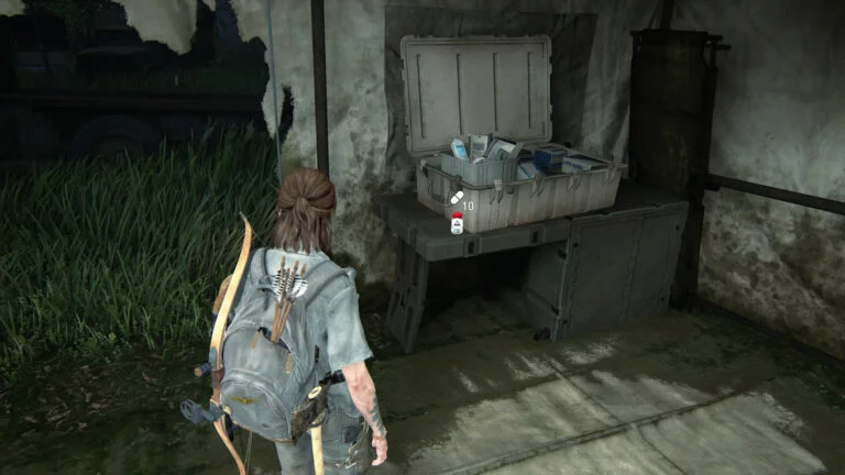 10 Zusätze im Zelt auf dem Vorplatz des Lakehill Hospitals in The Last of Us 2