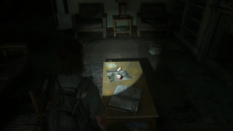 11 Zusätze auf dem Wohnzimmertisch in Boris' Haus in The Last of Us 2