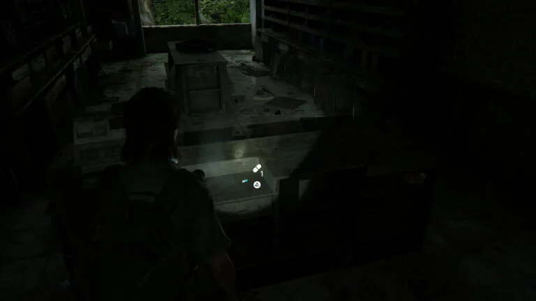 2 Zusätze im Verkaufstresen von Caroline Paper Co. in The Last of Us 2