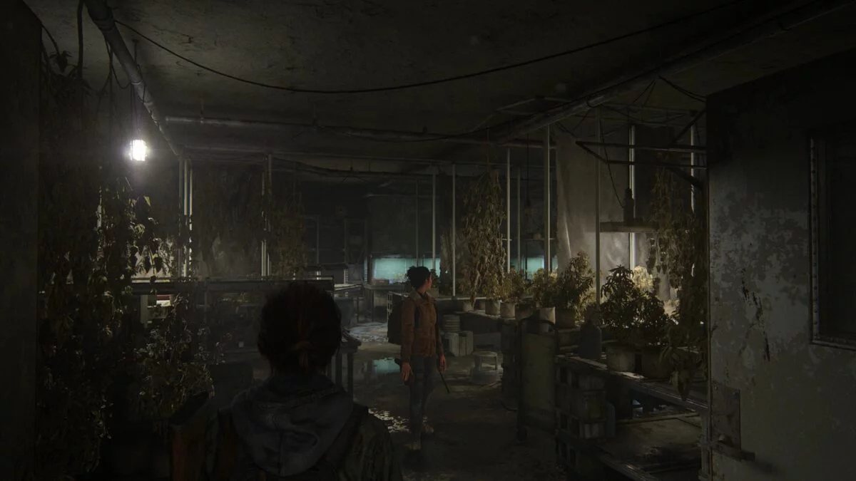 The Last of Us part 2 Walkthrough #4 - The Horde, The Chalet, Joel