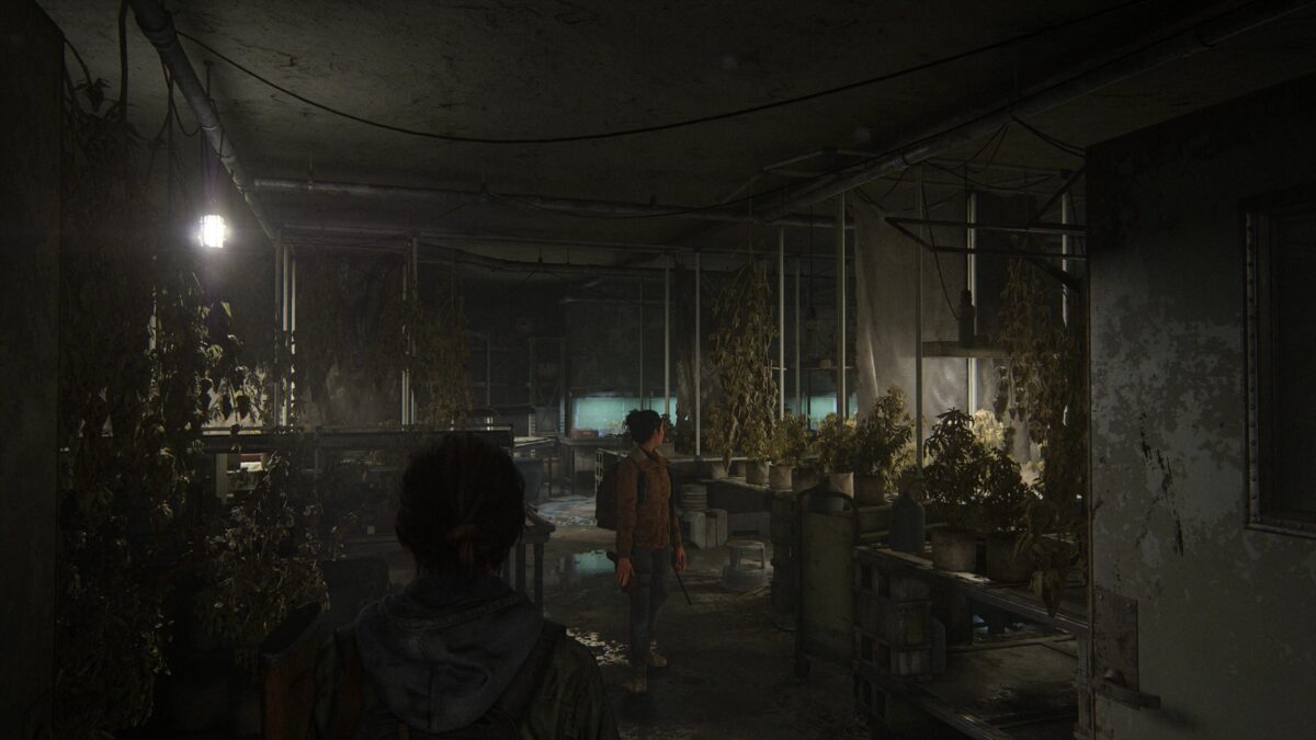 The weed plantation in the basement of the library in The Last of Us 2