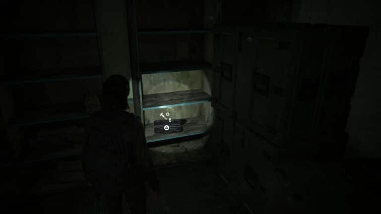 Upgrade parts on the shelf in the pet shop in The Last of Us 2.