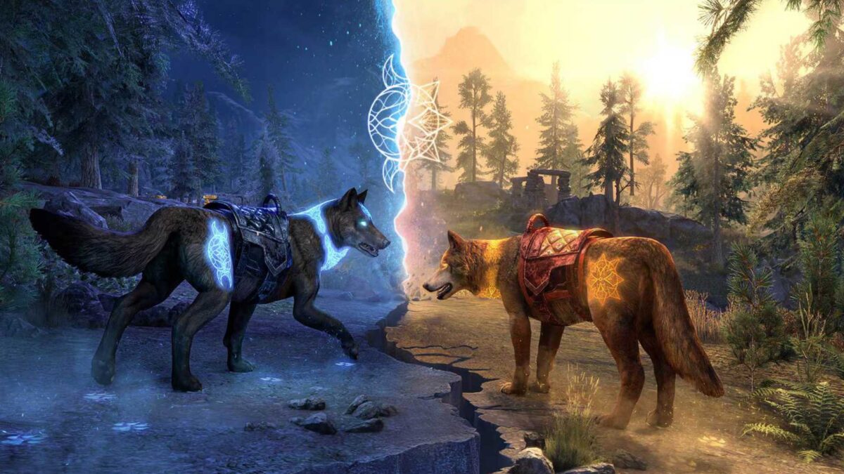 Zwei Wölfe. Auf der linken Seite ein blauer Wolf in einer dunklen Welt. Auf der rechten Seite ein brauner Wolf in einer hellen Welt.