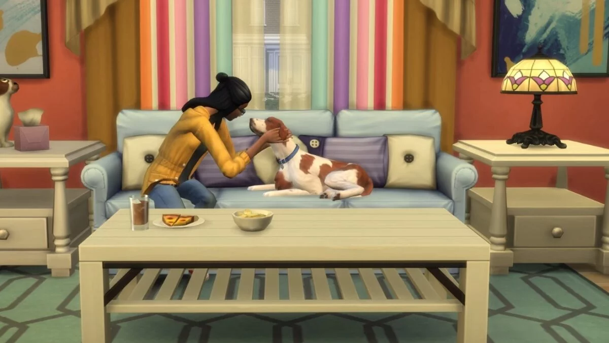Frau verwöhnt ihren Hund auf Couch