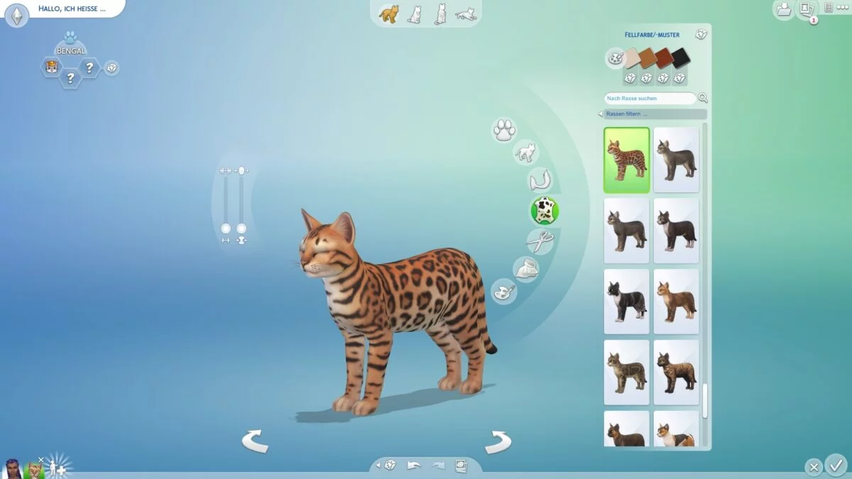 Katzenerstellung im Create-a-Pet-Modus