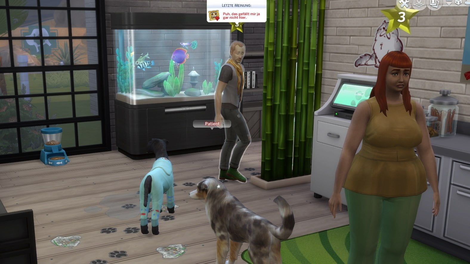 Sims 4 Hunde Und Katzen Tierarzt