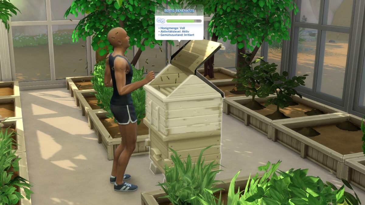 Sims 4 Jahreszeiten Sim-Mann steht vor offener Bienenkiste und wird von Bienen umschwärmt