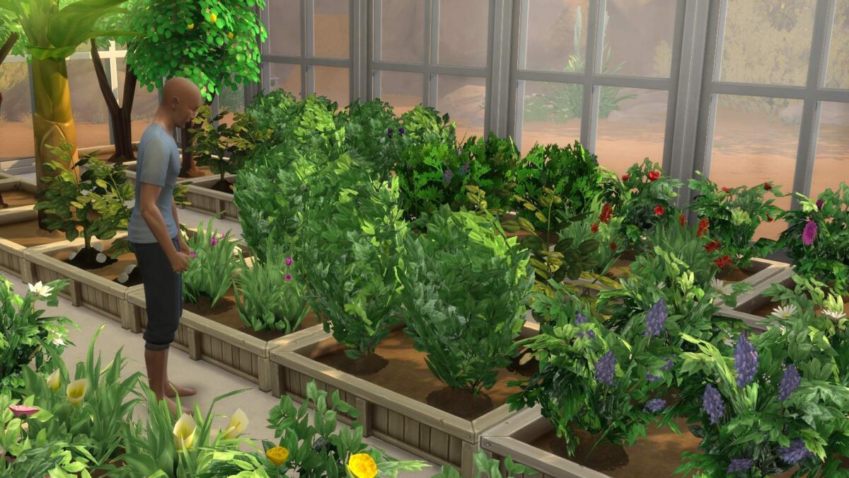 Sims 4 Jahreszeiten Sim in einem üppig blühenden Gewächshaus voller Pflanzen